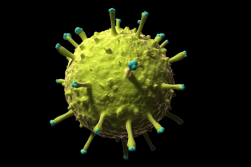 Вирус гепатита В
