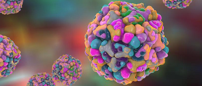 Вирусные гепатиты: что это такое, отличия от неинфекционного гепатита