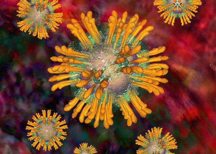 Норма количественного исследования РНК вируса гепатита С