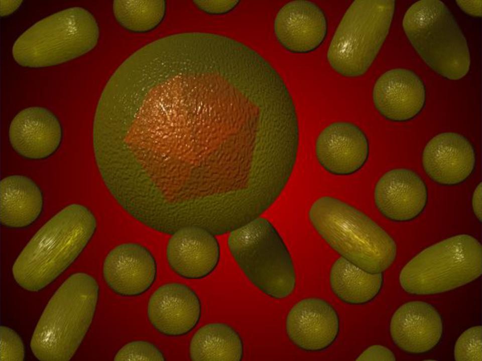 Гепатит f. Гепатит бактерия. Кровь человека фото на обои. Кровь человека зелёного цвета.